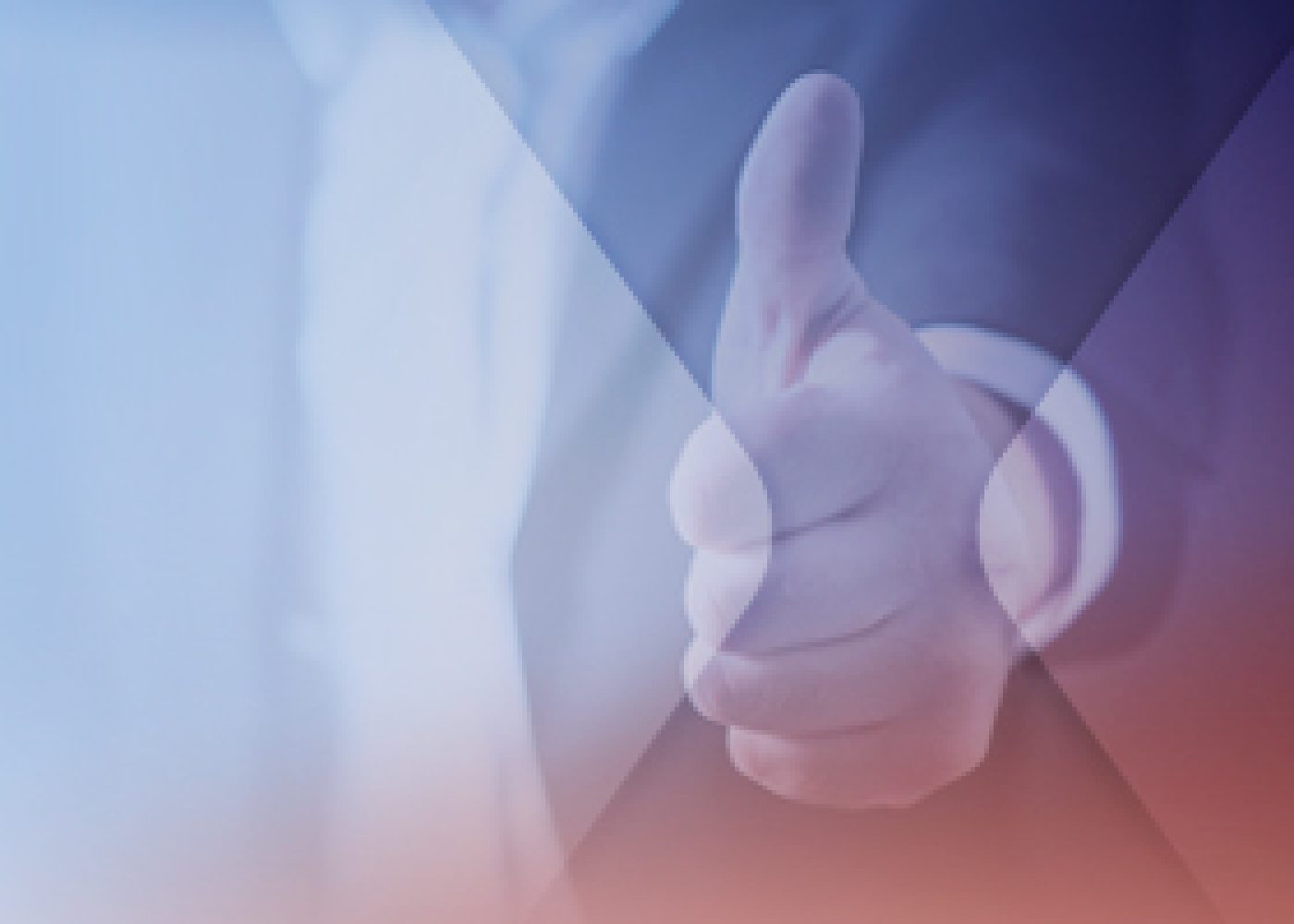 Demanda admitida con oferta vinculante